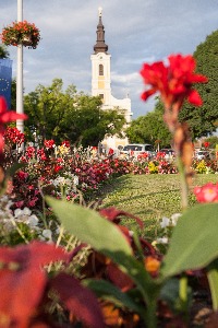 Virágos Magyarország